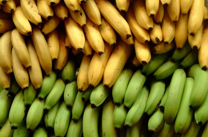 Бананы Гоа
