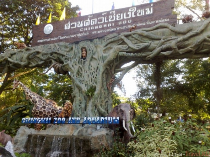 Зоопарк в Чианг-Май
