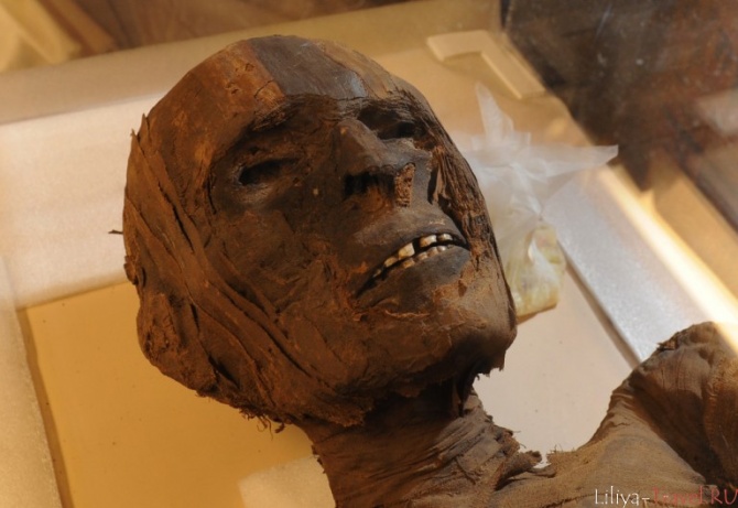 Древняя муммия