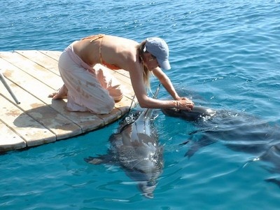 Дельфиний Риф в Эйлате