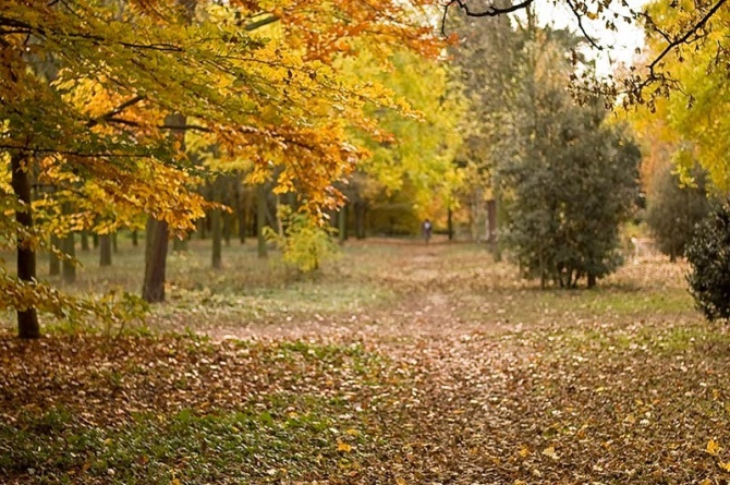 Булонский лес. Осень