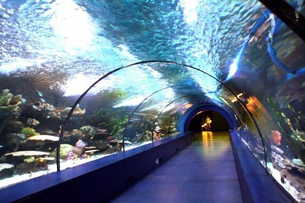 Аквариум-тоннель в Анталии считается самым большим в мире
