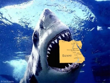 Акулы в Египте