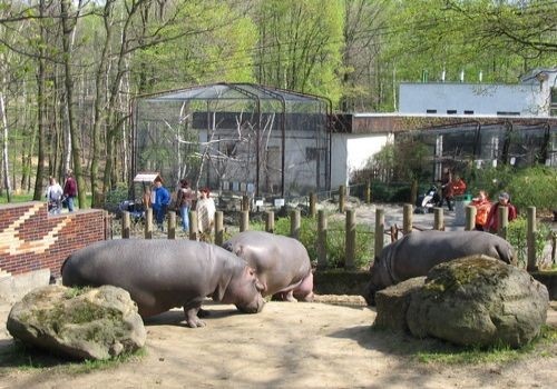 Зоопарк в Остраве