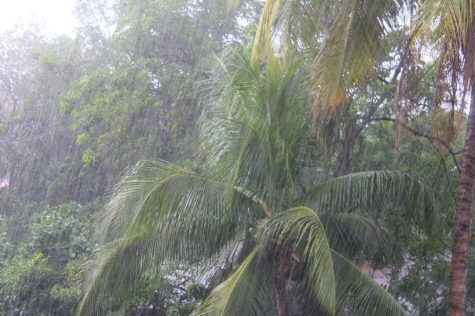 Сезон дождей есть и во Вьетнаме и в Таиланде