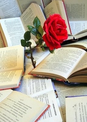 Книга и роза - атрибуты Дня Книги
