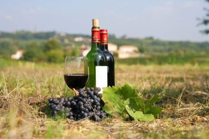 Франция - лидер по производству вин
